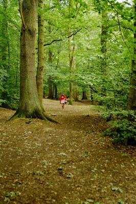 Rosaleen Young - Lil red riding hood