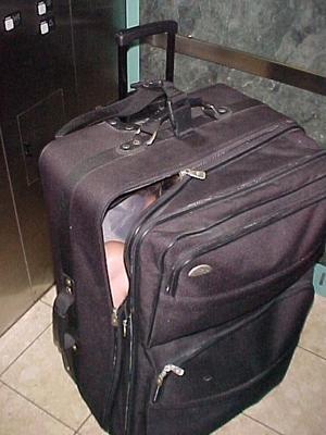 Suitcase Slut: Bound and Packed for Transport