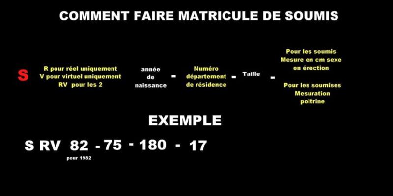 Marquage e identificación