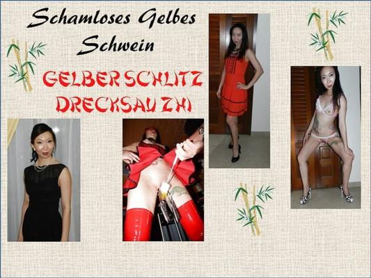 Drecksau Zhi - Плакат Schamloses gelbes Schwein