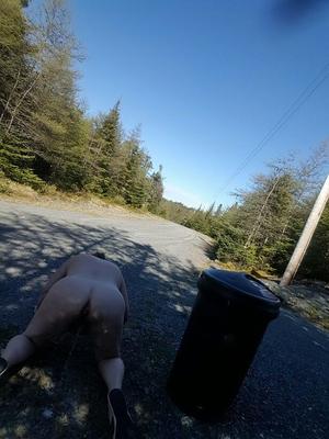 Pig pissing outdoors