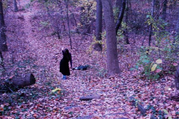 Perdu dans la forêt