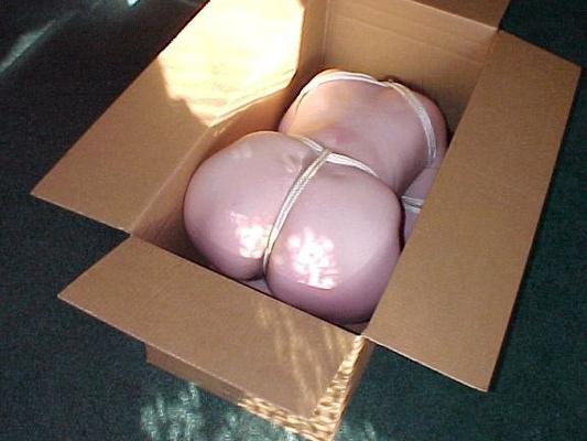 Bound & Gift Boxed for Christmas