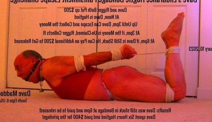 Exibicionista Hogtied e Exposto