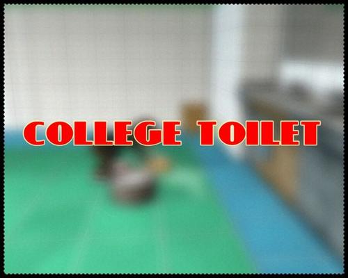 College toilet