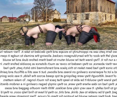 Flucht vom Bauernhof (Bondage-Bildunterschrift)