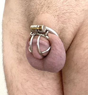 My Little Locked Cock