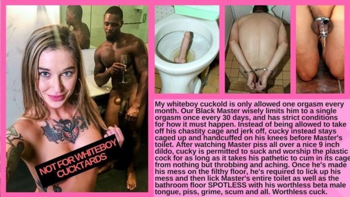 Sissy Losers - Cuckboy Toilet Treat