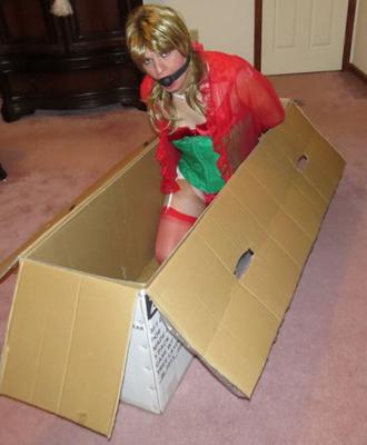 Crossdresser Box Bondage