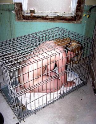 Slaves stored in cages