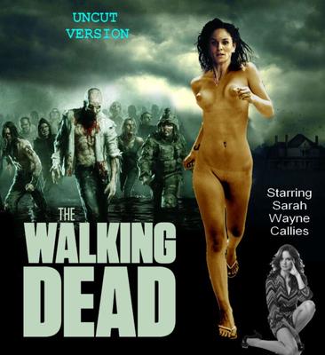 Fake covers (The Walking Dead)