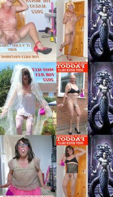 Queer gay sissy Sally picture manipulation giggles .