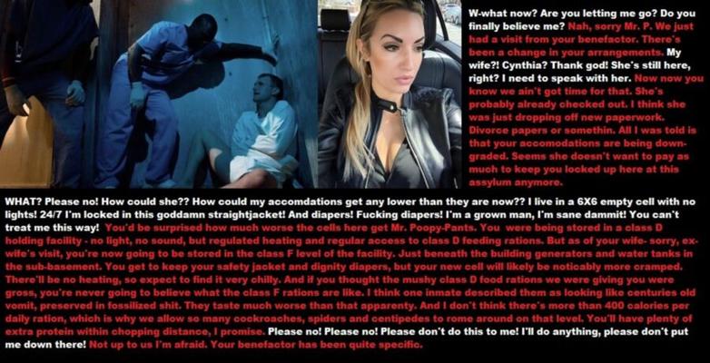 Femdom Story - Loser ex-husband locked in insane asylum