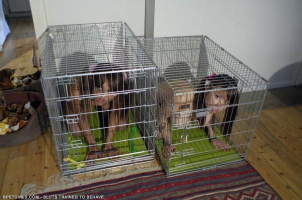 Animaux en cage II