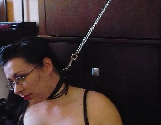 pet_leashed-