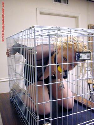 Gardé dans une cage pour chien