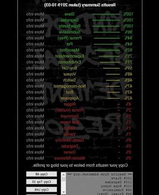 BDSM-Test