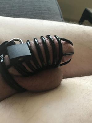 Sissy locked in chastity