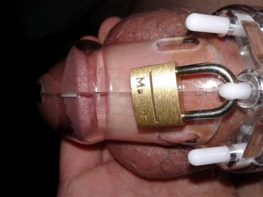 Starting Chastity again