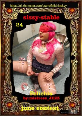 Felichia Stable-Sissy