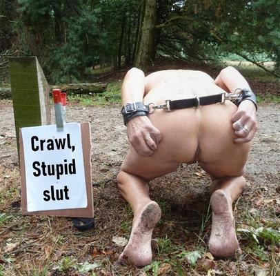 crawl stupid slut